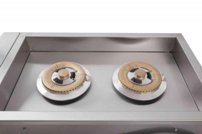 25" Bonfire Prime Double Side Burner in Stainless Steel - CBAPDSB