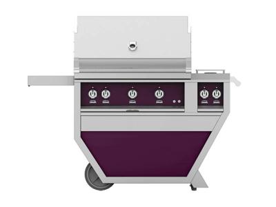 36" Hestan Outdoor Deluxe Grill with Double Side Burner - GSBR36CX2-NG-PP