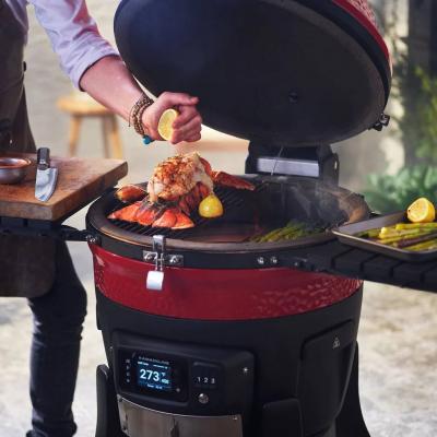 Gas kamado grill best sale