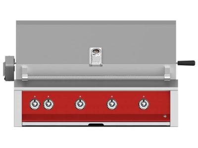 42" Aspire By Hestan Built-In Grill with Rotisserie - EABR42-NG-RD