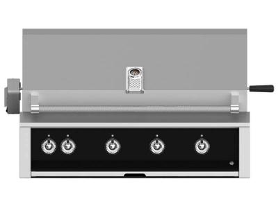 42" Aspire By Hestan Built-In Grill with Rotisserie - EABR42-LP-BK