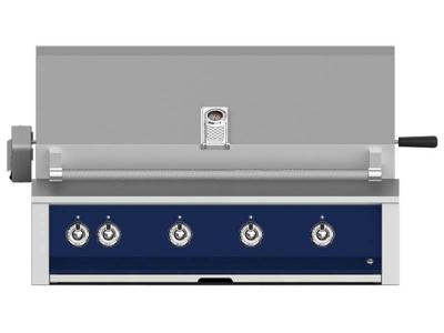 42" Aspire By Hestan Built-In Grill with Rotisserie - EABR42-LP-DB