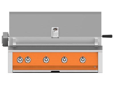 42" Aspire By Hestan Built-In Grill with Rotisserie - EABR42-NG-OR